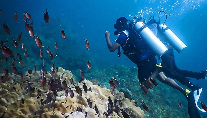 Scuba diving near Murudeshwara and Netrani Island